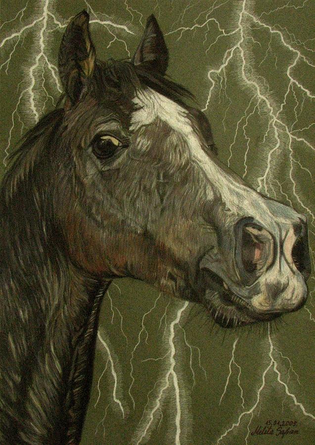 Horse Drawing - Fantasy Xanthus by Melita Safran