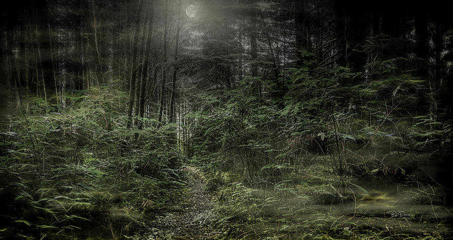 FantasyWoods Photograph by Bill Posner