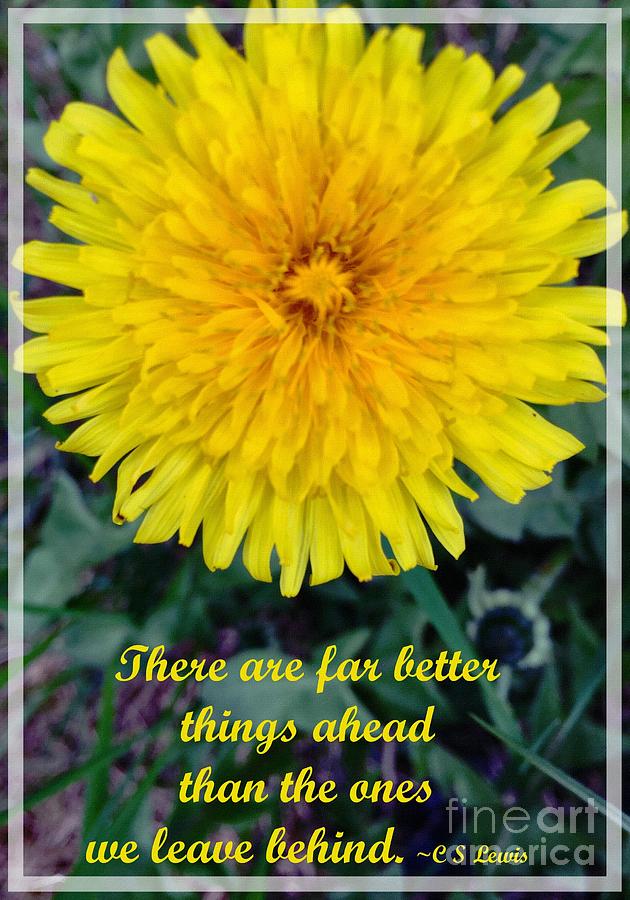 Far Better Things Ahead Photograph by Barbara A Griffin