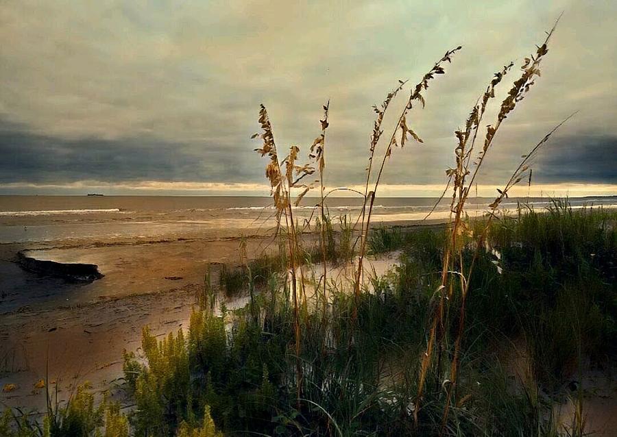 Dusk on the Isle of Palms Photograph by Sherry Kuhlkin