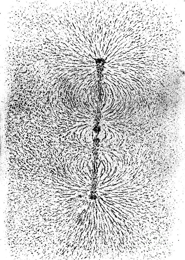 Faradays Iron Filings Experiment, 1850s Photograph by Wellcome Images