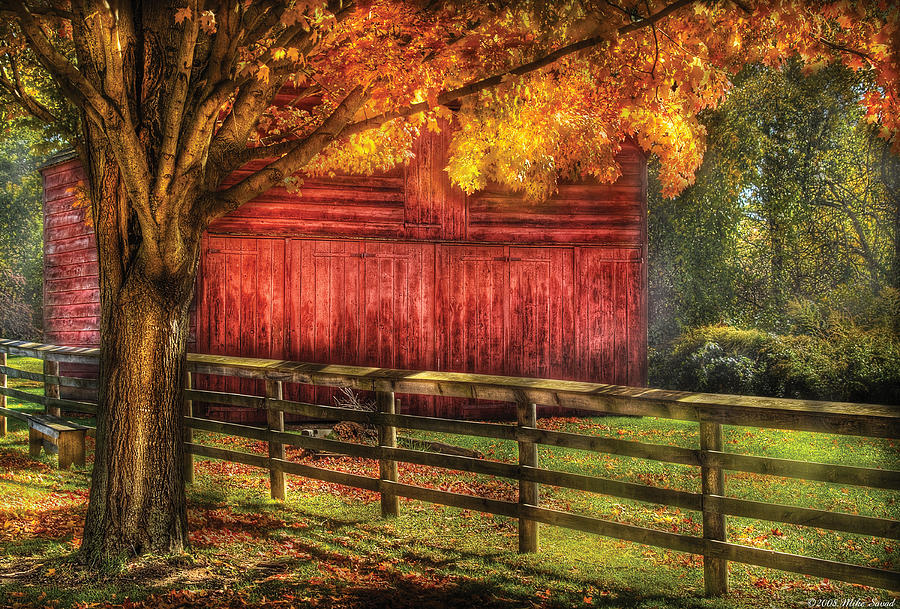 Barn Photograph - Farm - Barn - An old red barn by Mike Savad