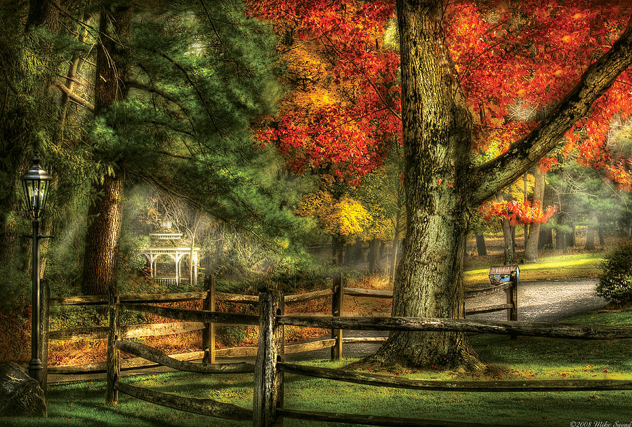 Farm Fence On A Country Road Photograph By Mike Savad