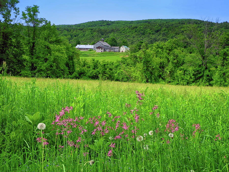 Farm Along the MA AT with Wildflowers Photograph by Raymond Salani III