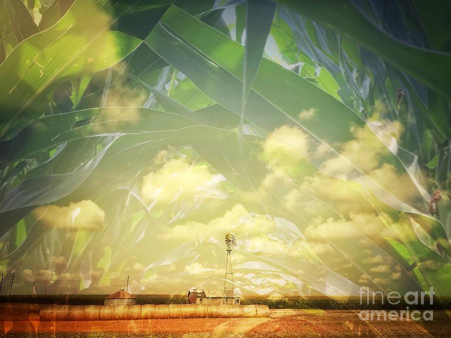 Nature Photograph - Farm and Corn Double Exposure by Iryna Liveoak