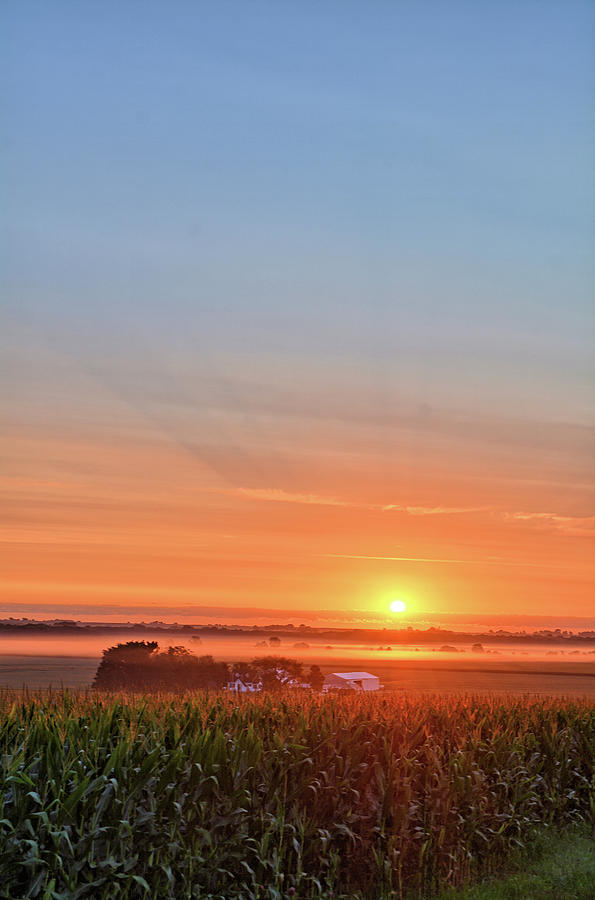Farm And Fog Sunrise 2 Photograph by Bonfire Photography