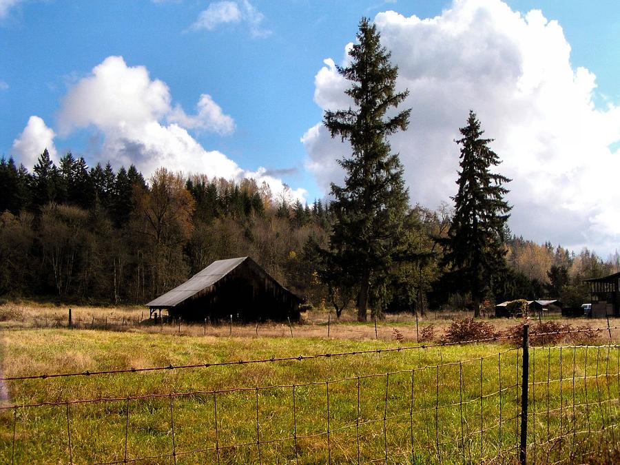 FARM and FOREST Photograph by A L Sadie Reneau