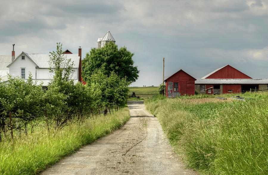 Farm Photograph by Ann Bridges