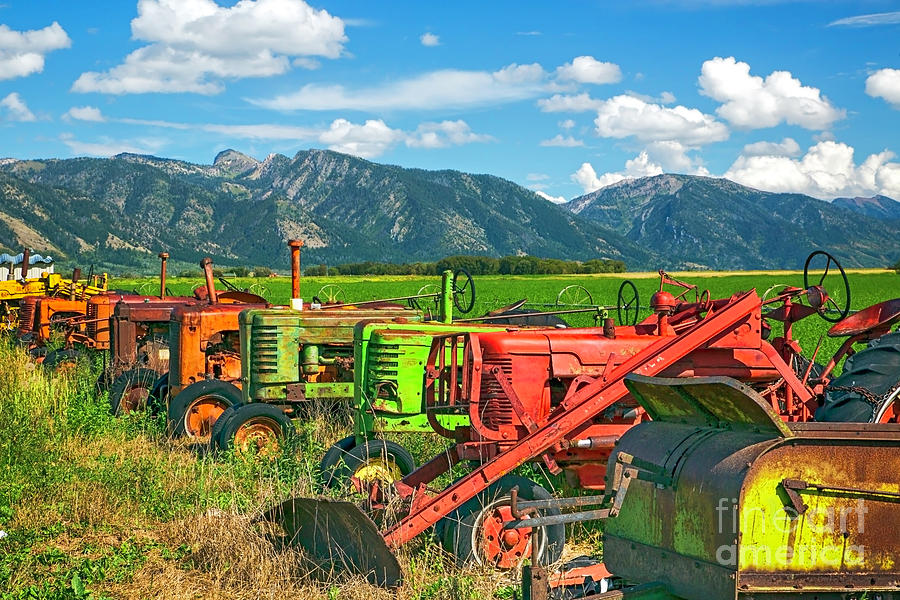 Farm  Art Tractors Photograph