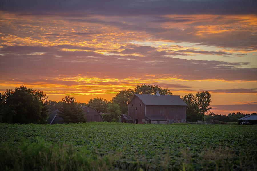 Farm at Sunset Photograph by Jessica Michaels - Fine Art America