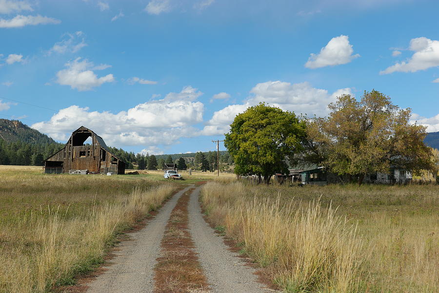 Tree Photograph - Farm at the end of a country road by Jeff Swan