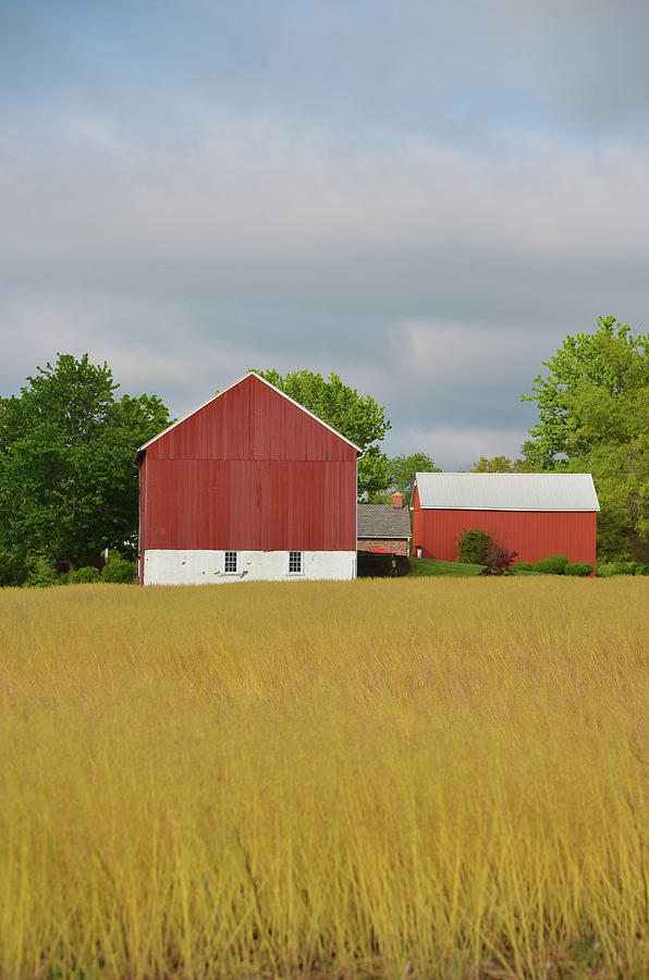 Farm - Bucks County Pennsylvania Photograph by Bill Cannon