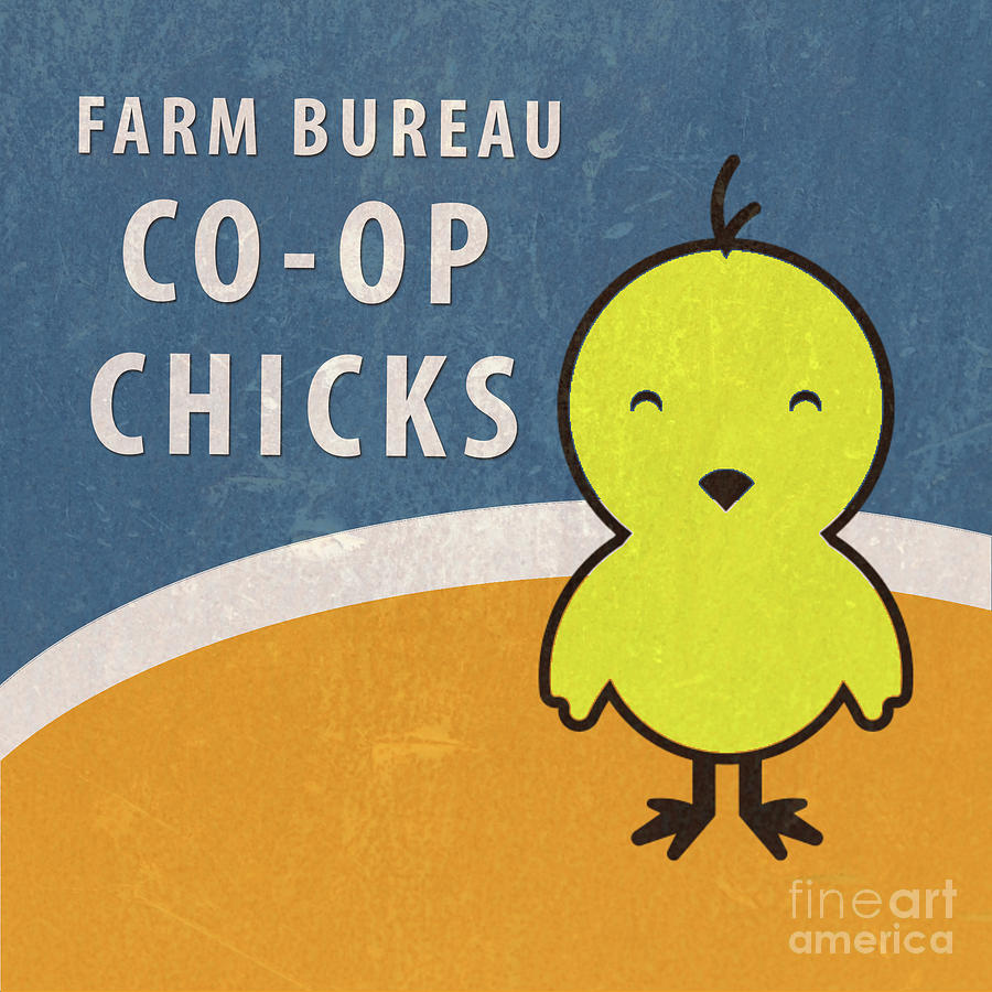 Farm Bureau Co-op Chicks retro vintage farm sign Photograph by Edward Fielding