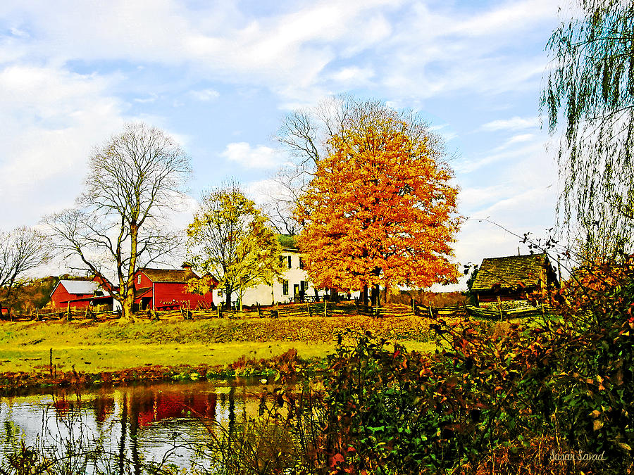 Tree Photograph - Farm by Pond in Autumn by Susan Savad