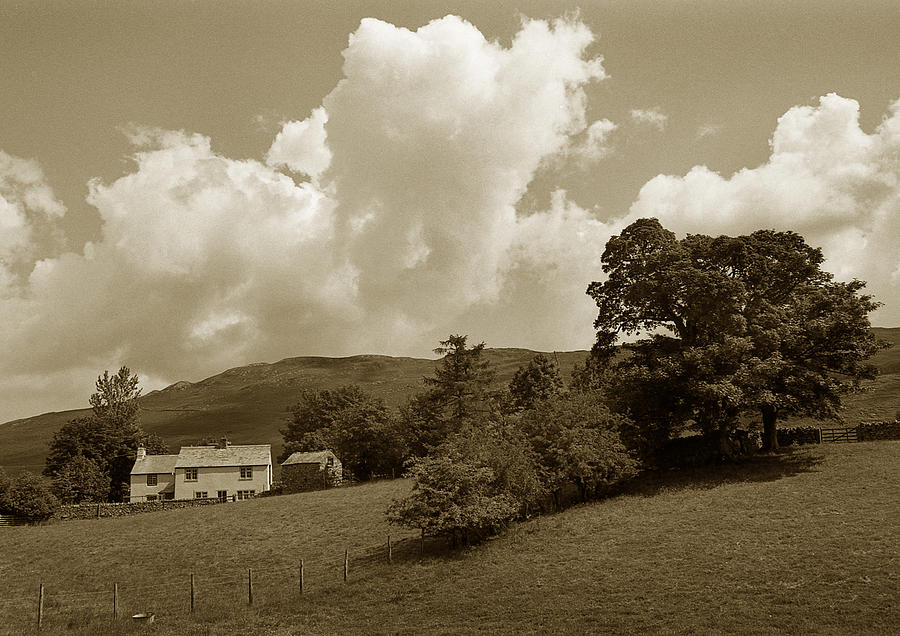 Farm Cottage Photograph by Terence Davis