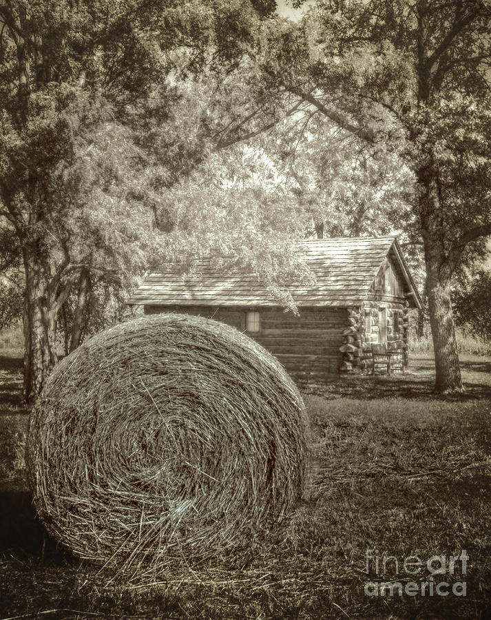 Farm Country Photograph by John Anderson