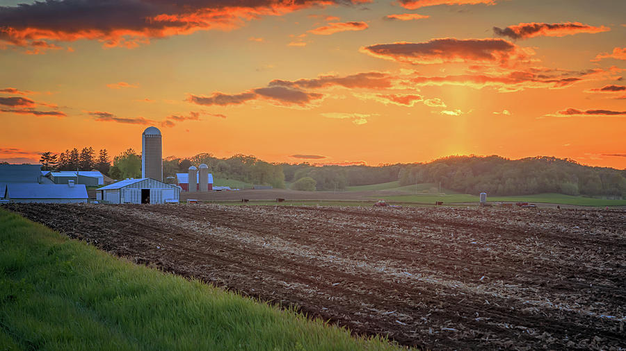 Farm Country Sunset Photograph by Susan Rissi Tregoning