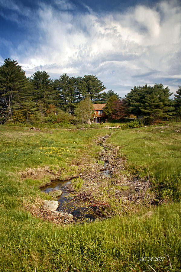 Farm Creek Photograph by Catherine Melvin - Fine Art America