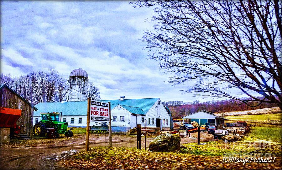 Farm Days Mixed Media by MaryLee Parker