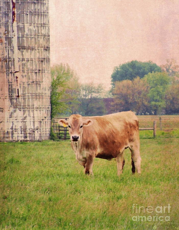 Jersey Cow Digital Art - Farm Dreamscape by Ilona Erwin Jersey Cow Digital Art - Farm Dreamscape by Ilona Erwin