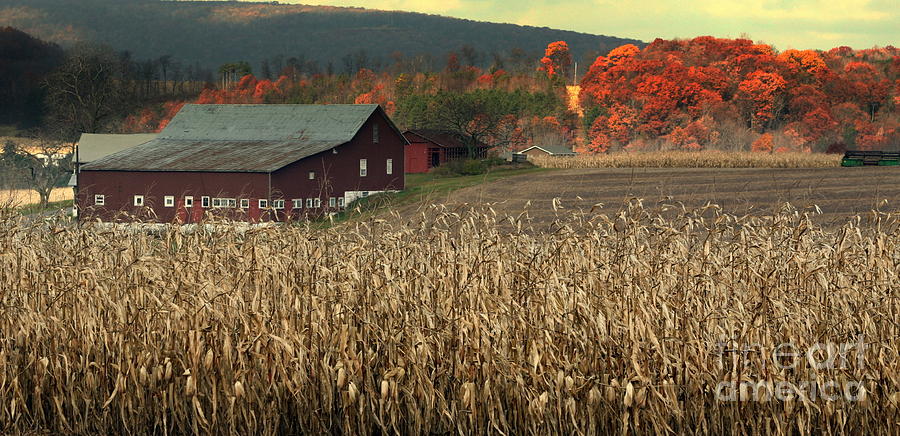 Farm Fall Colors Photograph by Chuck Kuhn