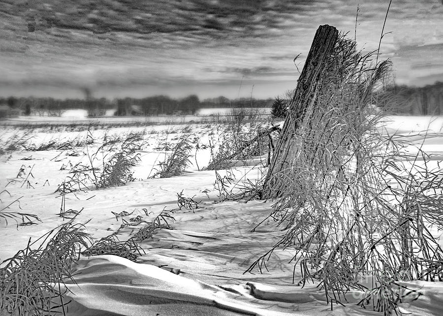 Farm Fence in Winter Photograph by Hal Halli
