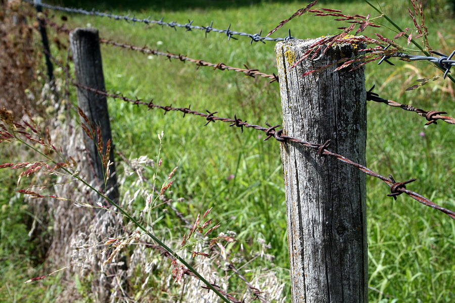 Farm Fence Photograph by Rodger Mansfield