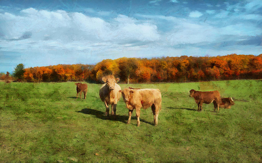Farm Field and Brown Cows Digital Art by JGracey Stinson