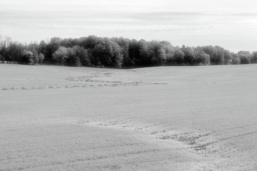 Farm Field In May BW  Photograph by Lyle Crump