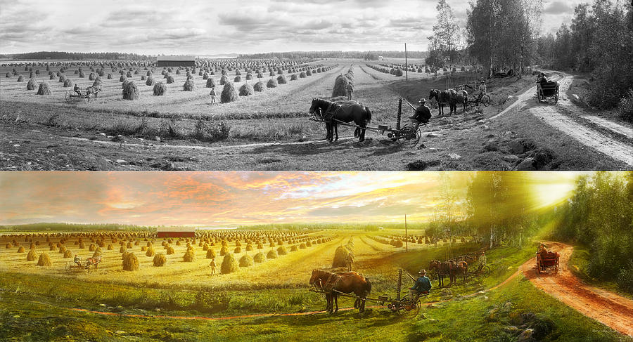 Farm - Finland - Field of hope 1899 - Side by Side Photograph by Mike Savad