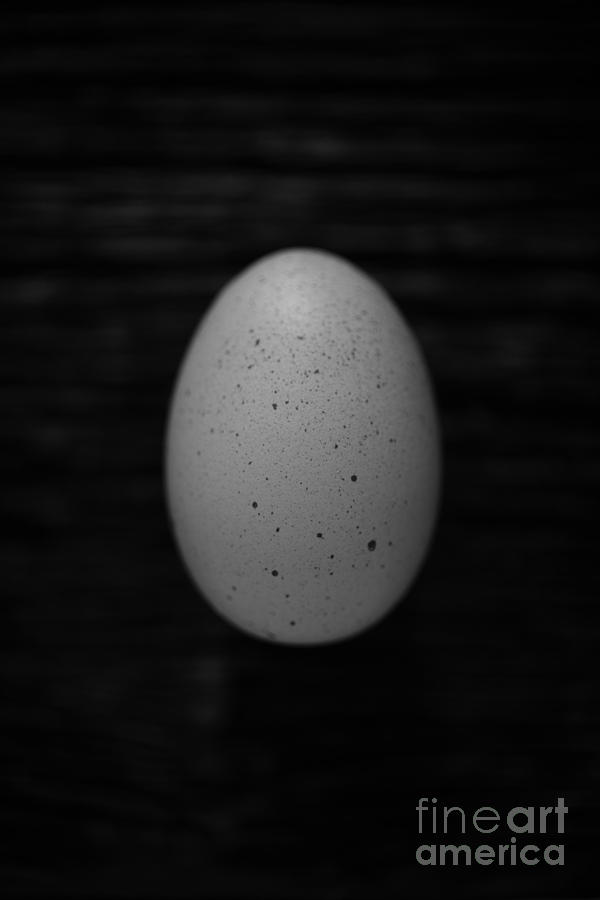 Egg Photograph - Farm Fresh Egg by Edward Fielding
