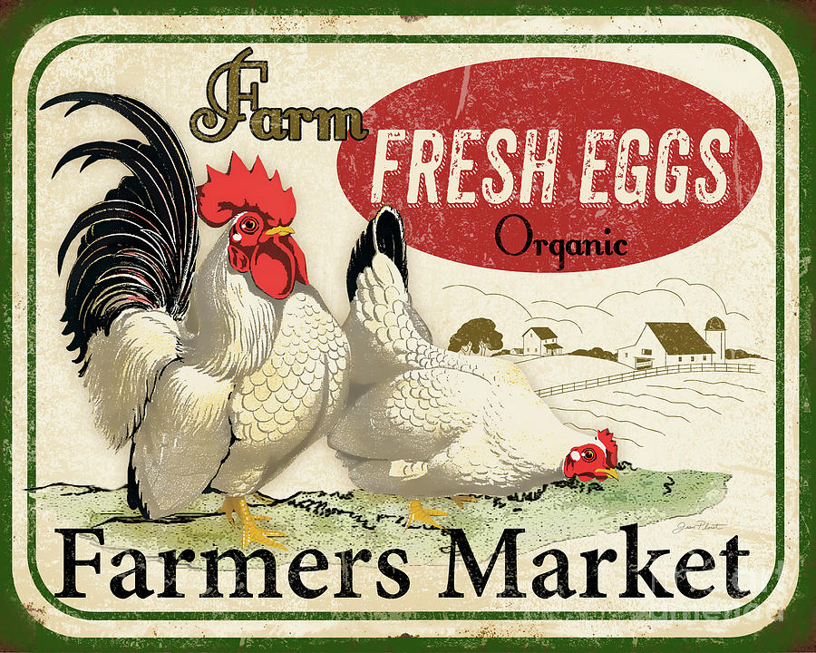 Farm Fresh Eggs-A Digital Art by Jean Plout
