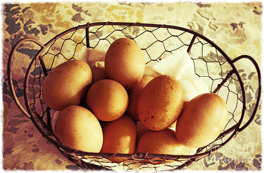 Farm Fresh Eggs Photograph by Debbie Portwood