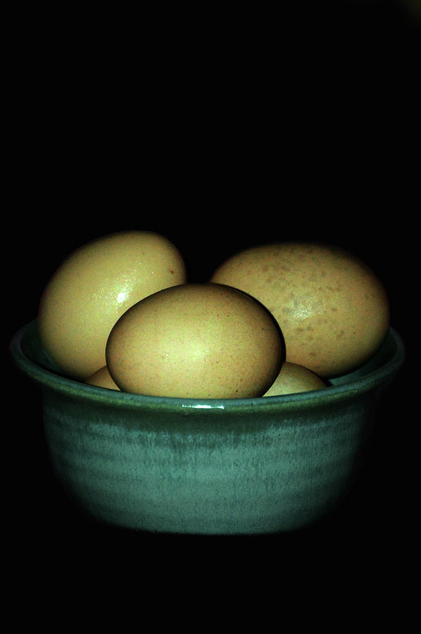 Farm Fresh Eggs Photograph by Lesa Fine