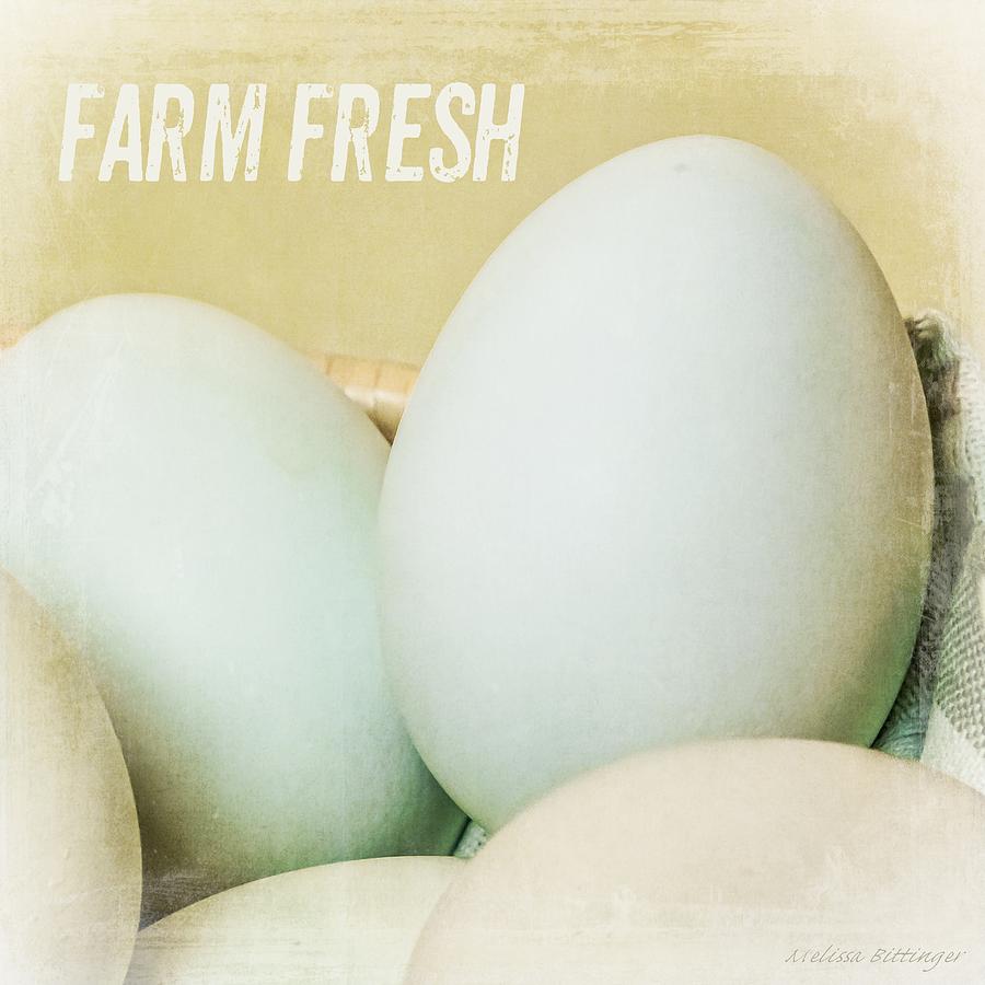Farm Fresh Eggs Rustic Kitchen Decor Photograph by Melissa Bittinger