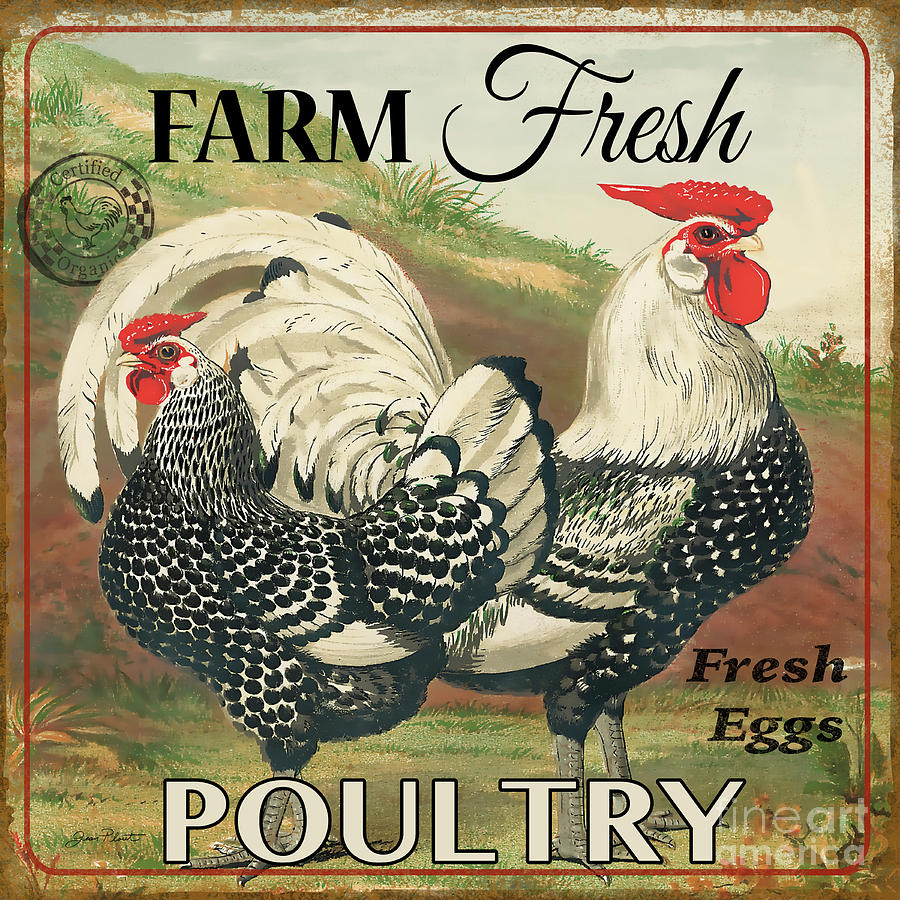 Farm Fresh Poultry-A Digital Art by Jean Plout