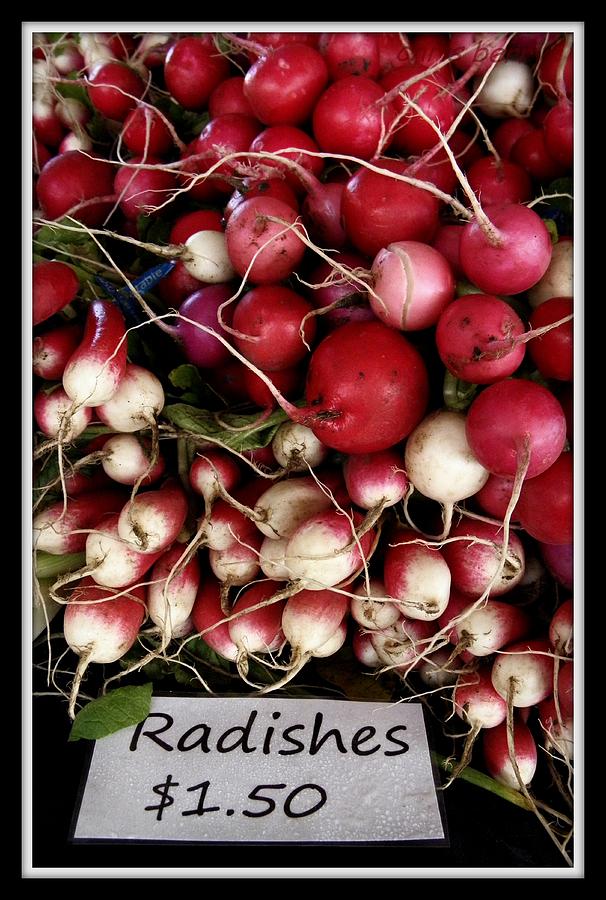 Farm Fresh Radishes Photograph by Chris Berry