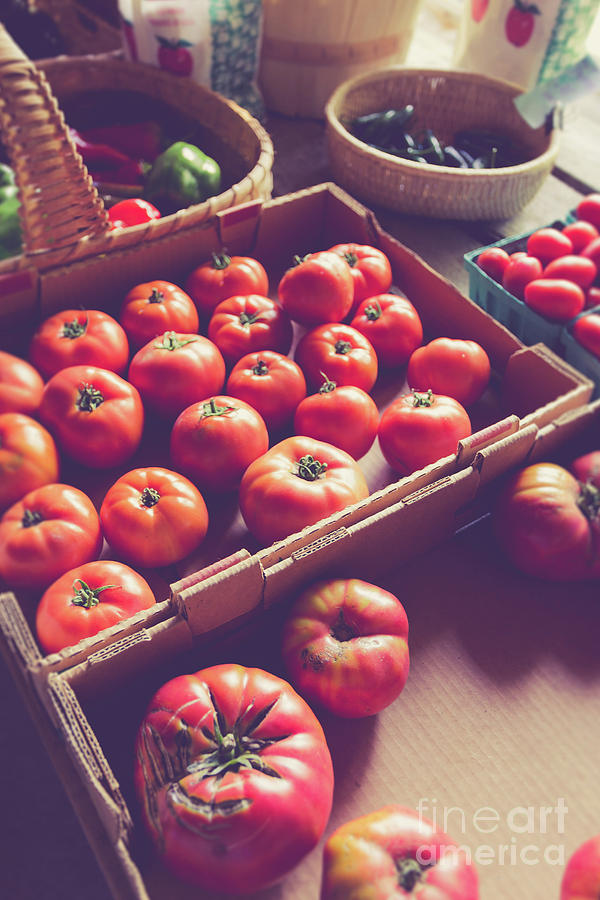 Farm fresh tomatoes at a farm stand Photograph by Edward Fielding