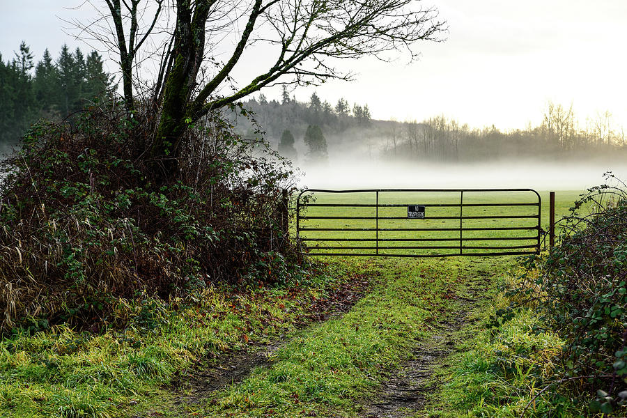 Farm Gate and Fog Photograph by Tom Cochran