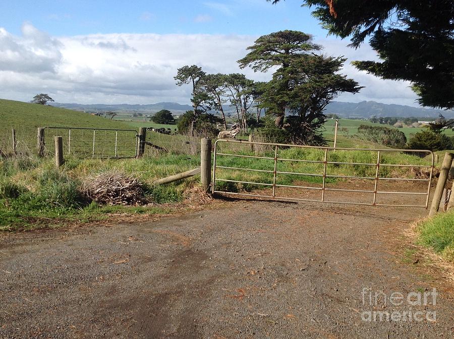 Farm Gates Photograph by By Divine Light - Pixels