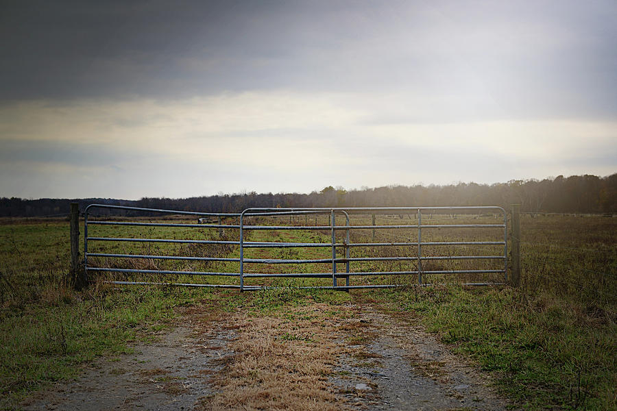 Farm Gates Photograph by Kristin D'Aliso - Fine Art America