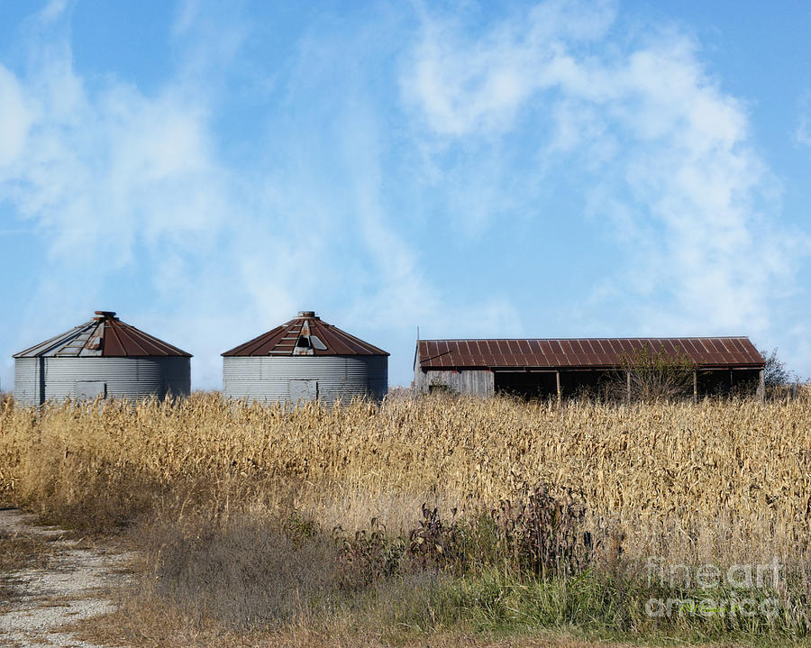 Farm Grain Bins And Shed Photograph by Kathy M Krause
