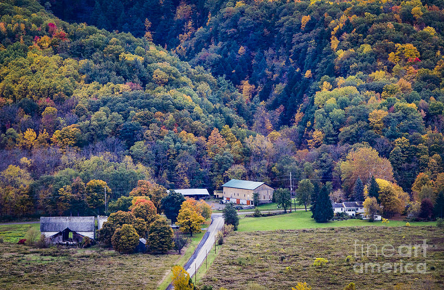 Farm in Fall Photograph by Joann Long