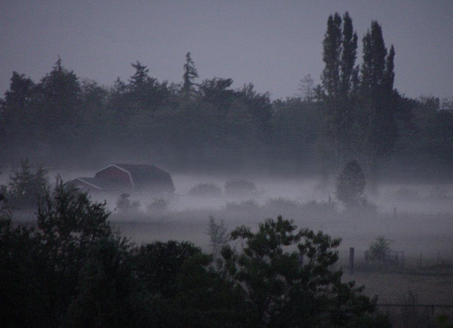 Farm in Fog Photograph by Shirley Heyn