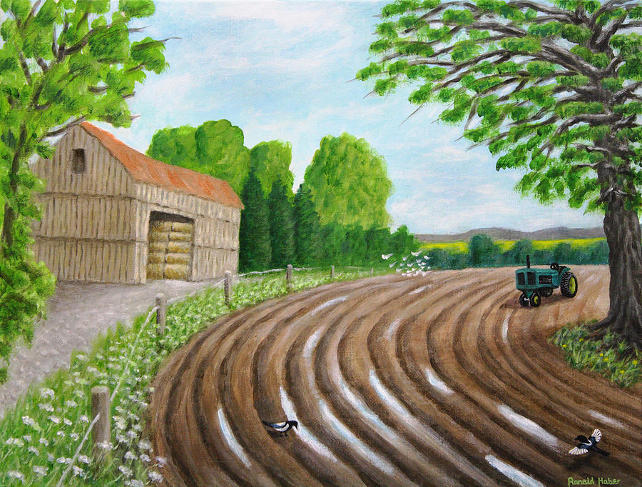 Farm Painting - Farm in Lymm by Ronald Haber