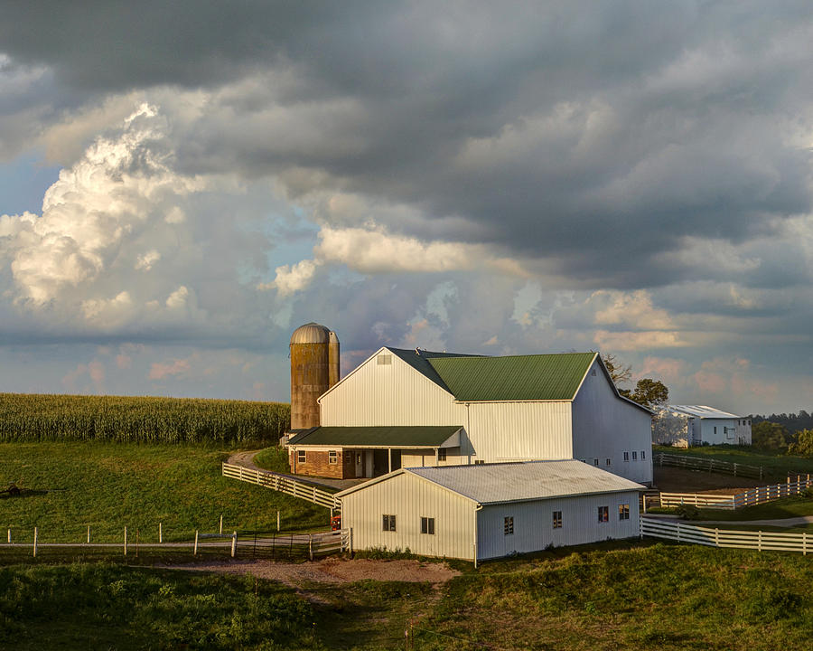 Farm in Summer Photograph by Ann Bridges