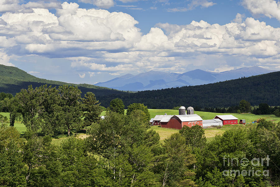 Summer Photograph - Farm In Summer Landscape by Alan L Graham