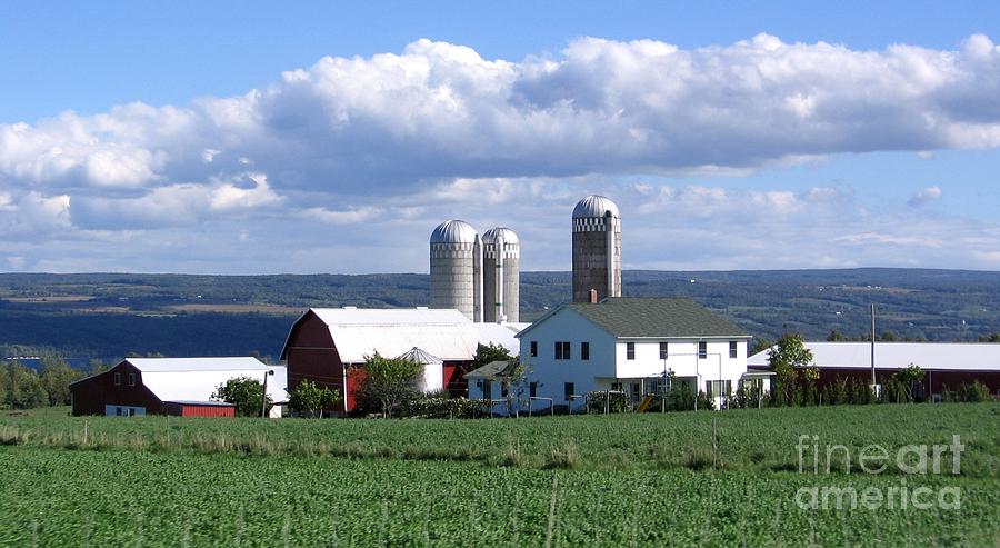 Farm in the Finger Lakes Region of New York State Photograph by Rose Santuci-Sofranko