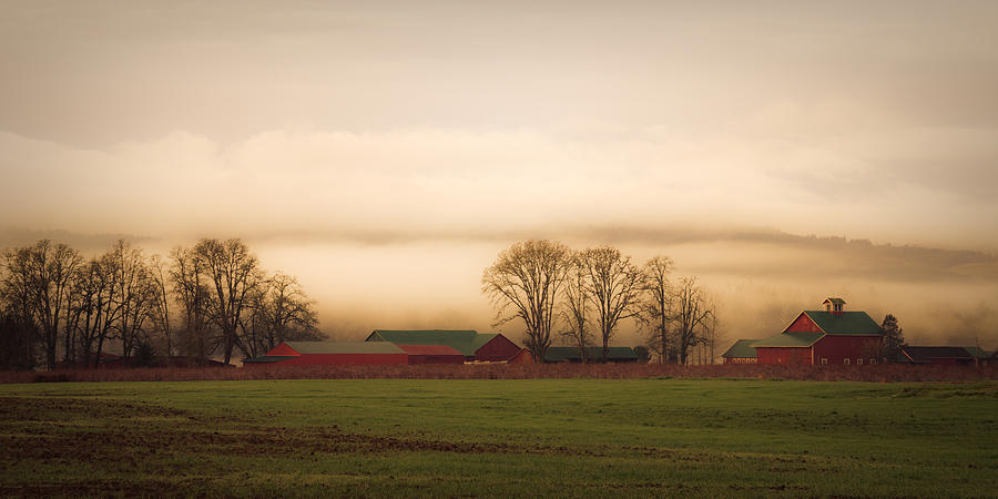 Farm in the Morning Mist Photograph by Don Schwartz