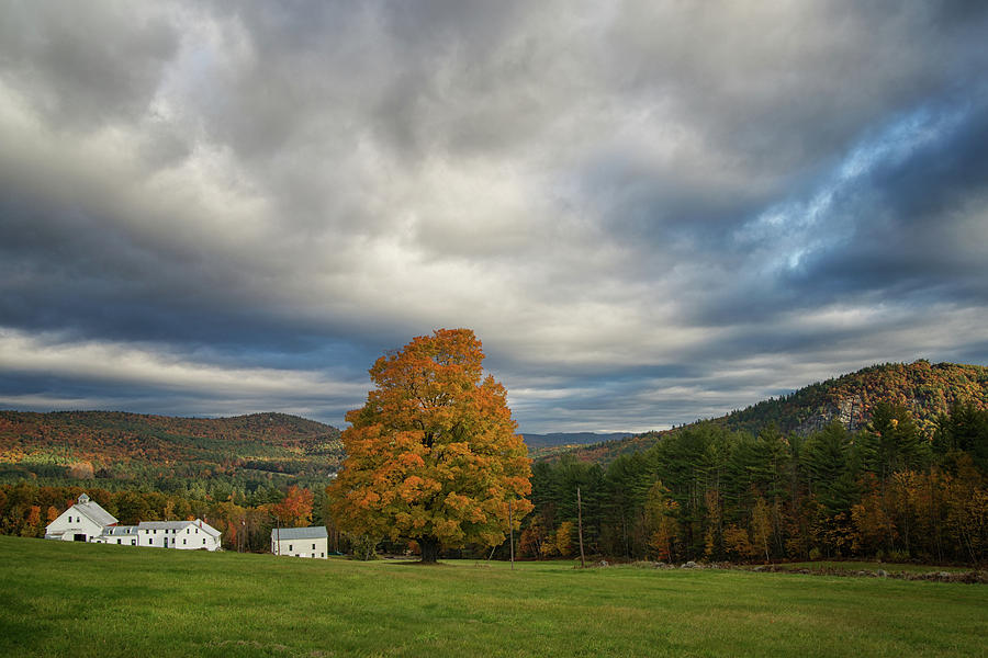 Farm in the Mountains Photograph by Darylann Leonard Photography